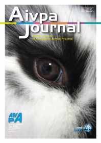 Aivpa Journal anno 2012 numero 4