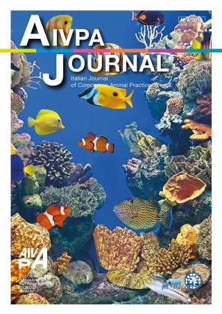 Aivpa Journal anno 2016 numero 4
